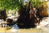 chiva1.jpg (314691 bytes)