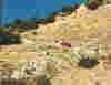 davehill.jpg (65909 bytes)