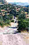 trail.jpg (405687 bytes)