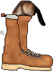 bootan.gif (34825 bytes)